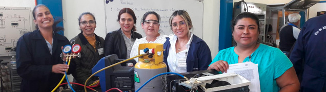 Formación