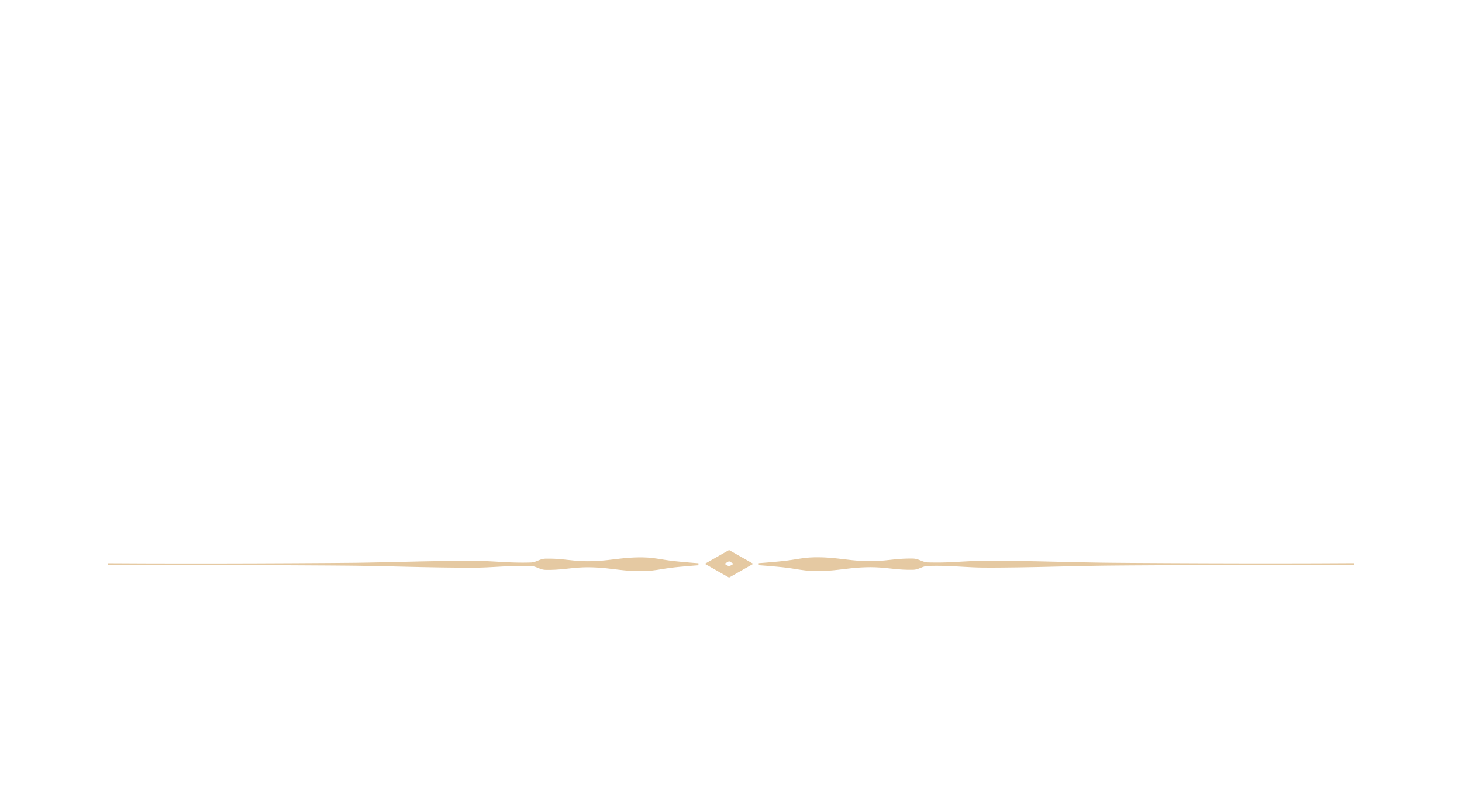 Logo sistema